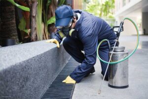 5 tiêu chí để đánh giá một công ty diệt muỗi chất lượng