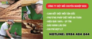 Diệt mối giá rẻ và mức đơn giá phòng trừ mối của Biox