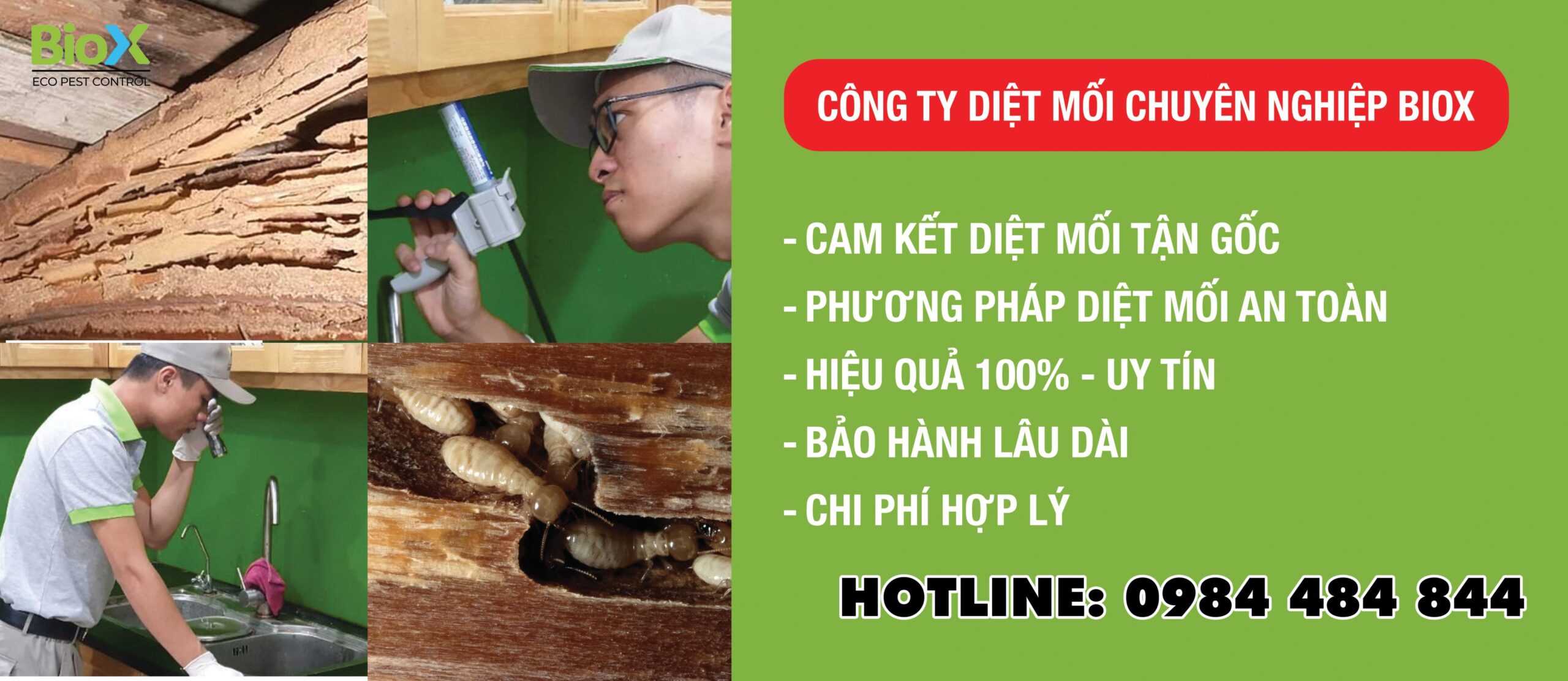 Diệt mối giá rẻ và mức đơn giá phòng trừ mối của Biox