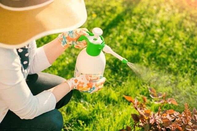 Dịch vụ diệt côn trùng tận gốc của BioX có gì đặc biệt?