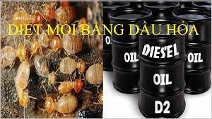 Diệt mối bằng dầu hỏa