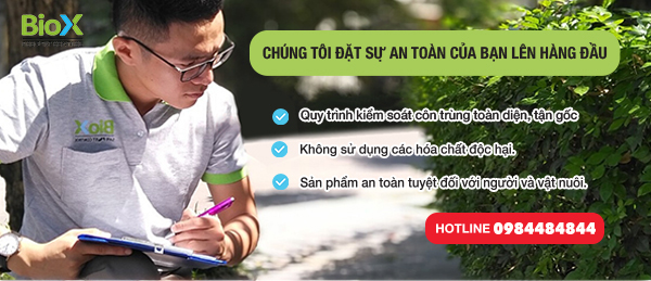 Giải đáp thắc mắc: Chi phí diệt mối tại nhà có đắt không?